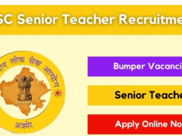 rpsc-senior-teacher